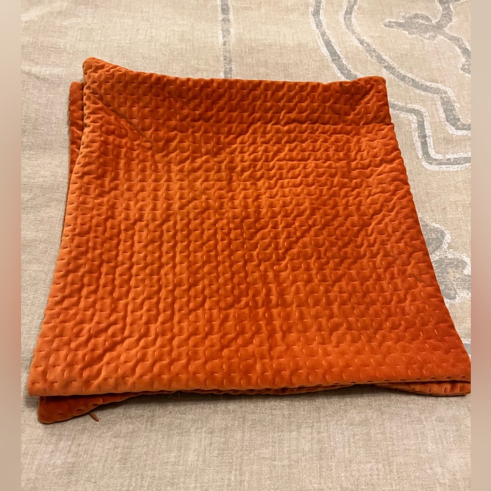 Crate & Barrel Orange Velvet Pillowcases 🍊